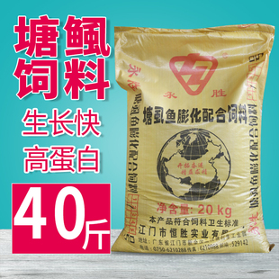 塘鲺鱼饲料塘角鱼专用饲料塘虱鱼苗料大口鲶鱼饵料养殖鱼食永胜牌