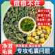 桑叶浮萍旱莲草菊花茶各15克中药材正品 霜桑叶墨芯草胎菊煮泡水喝