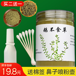 鹅不食草鼻炎鹅不食草粉喷雾剂新鲜鹅不吃草汁正品苗家粉末鹅不食