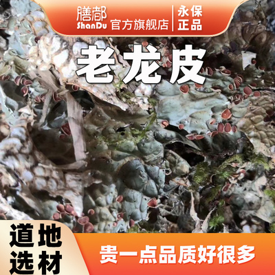 老龙皮中药材网肺衣石花石龙衣