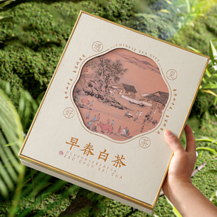 2025新款通用早春白茶安吉白茶半斤一斤装散茶茶叶高端包装空礼盒