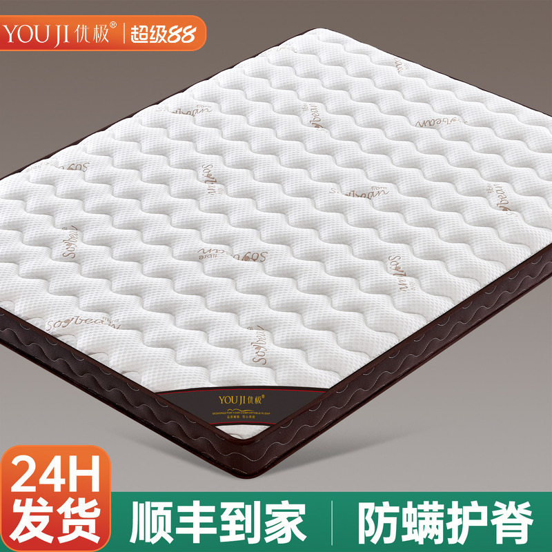 天然椰棕榈床垫硬垫子家用卧室