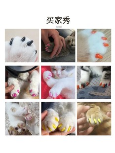 防止猫抓人狗爪子指甲防挠人 专用防抓指套猫狗爪套防抓套宠物