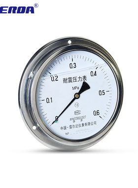 雷尔达 轴向带边耐震压力表YN150ZT 充油表 油压气压水压 抗震