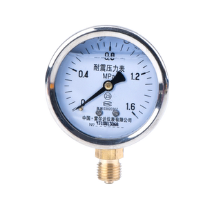 雷尔达仪表 YN60径向耐震压力表气压液压水压 1.6mpa 负压真空表