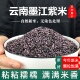 云南特产墨江紫米500g 紫糯米农家大米老品种紫米酒酿原料粗粮