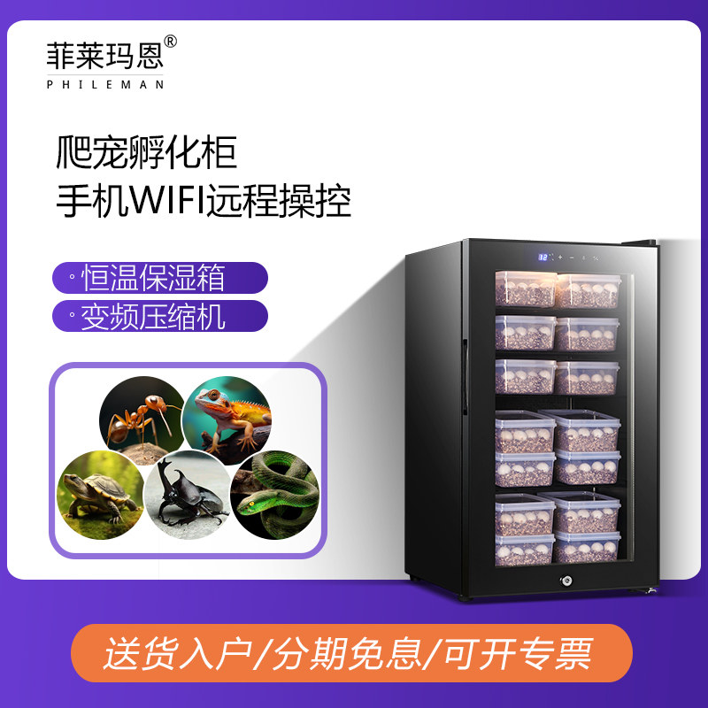 菲莱玛恩爬宠孵化箱乌龟鬃狮守宫蛇孵化柜甲虫蚂蚁恒温孵化器
