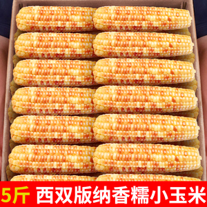 5斤云南西双版纳香糯小玉米