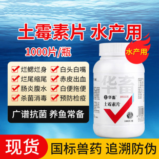 土霉素水族鱼药乌龟养鱼水产专用万能疾病治疗观赏金锦鲤烂身烂尾