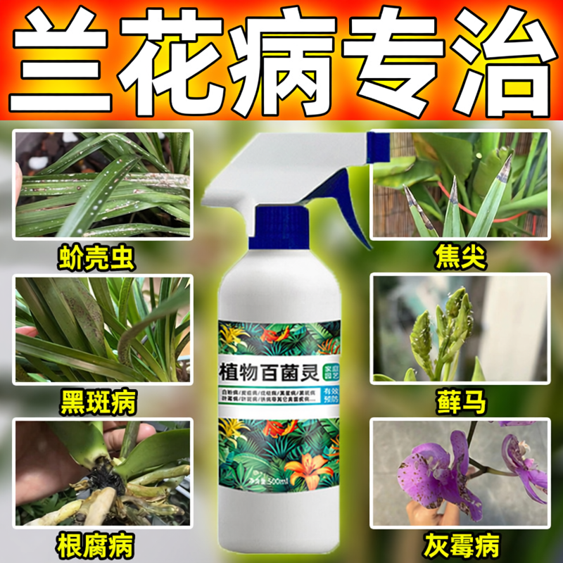 兰花病专用杀菌药剂专兰花烂根黄叶软腐病黑斑病土壤百菌灵