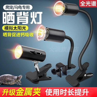 乌龟晒背灯爬宠取暖加热保温