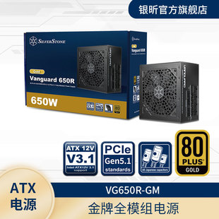 1000W金牌ATX3.1电源PCIe5.1 850W 全日系电容 750W 银昕VG650W