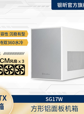银昕 SG17黑白色MATX游戏机箱（支持360水冷/4090长显卡/TYPE-C）