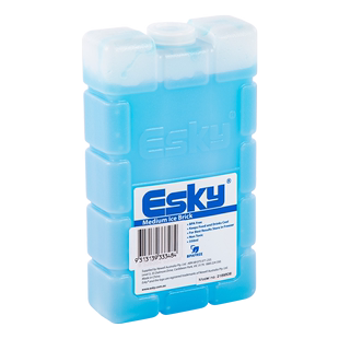 esky冰板冰砖商用摆摊冰砖冰袋快递专用冷冻重复使用冰晶盒蓝冰包