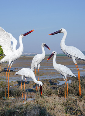 户外玻璃钢仿真白鹭雕塑园林景观白鹤仙鹤别墅庭院水池鸟摆件装饰