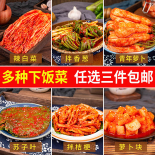 西塔朴社长辣白菜泡菜正宗青年萝卜小葱桔梗苏子叶酸甜黄瓜下饭菜