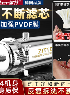 德国智特不锈钢净水器家用PVDF滤芯拉扯不断黄泥水地下水井水克星