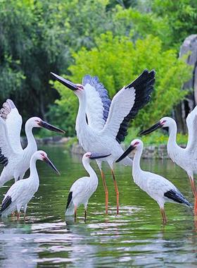 仿真白鹭雕塑户外装饰动物摆件园林水池景观玻璃钢仙鹤白鹤鸟模型
