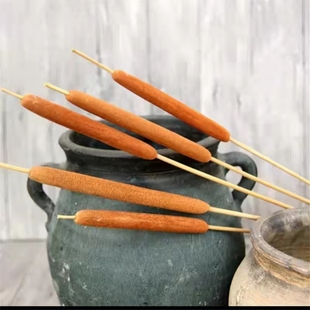 天然蒲棒水蜡烛干花真花花束客厅摆设农家乐会所装饰家居蒲棒干花