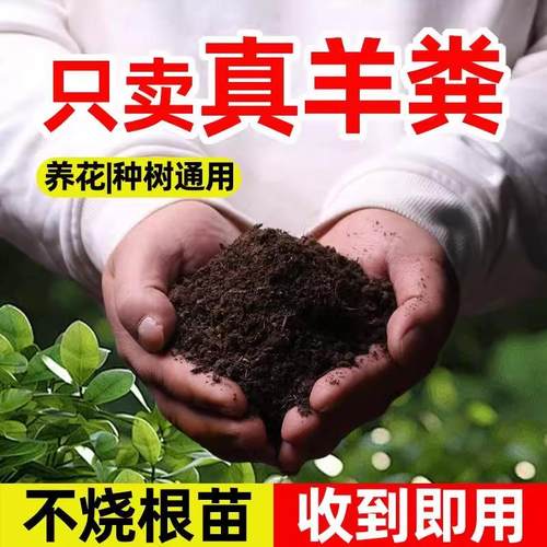 农家肥蔬菜专用鸡粪发酵