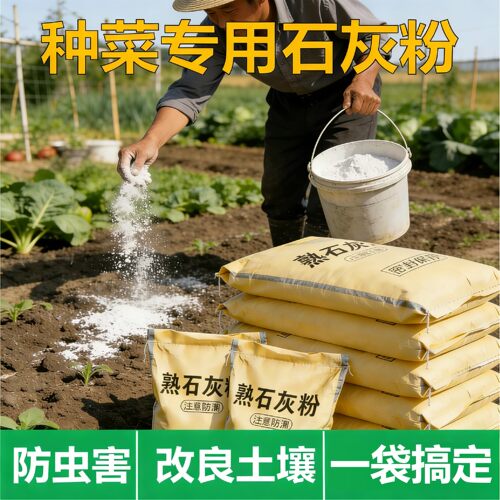 种菜专用熟石灰粉树木涂白防冻防病虫菜地消毒杀菌抗病种菜石灰粉