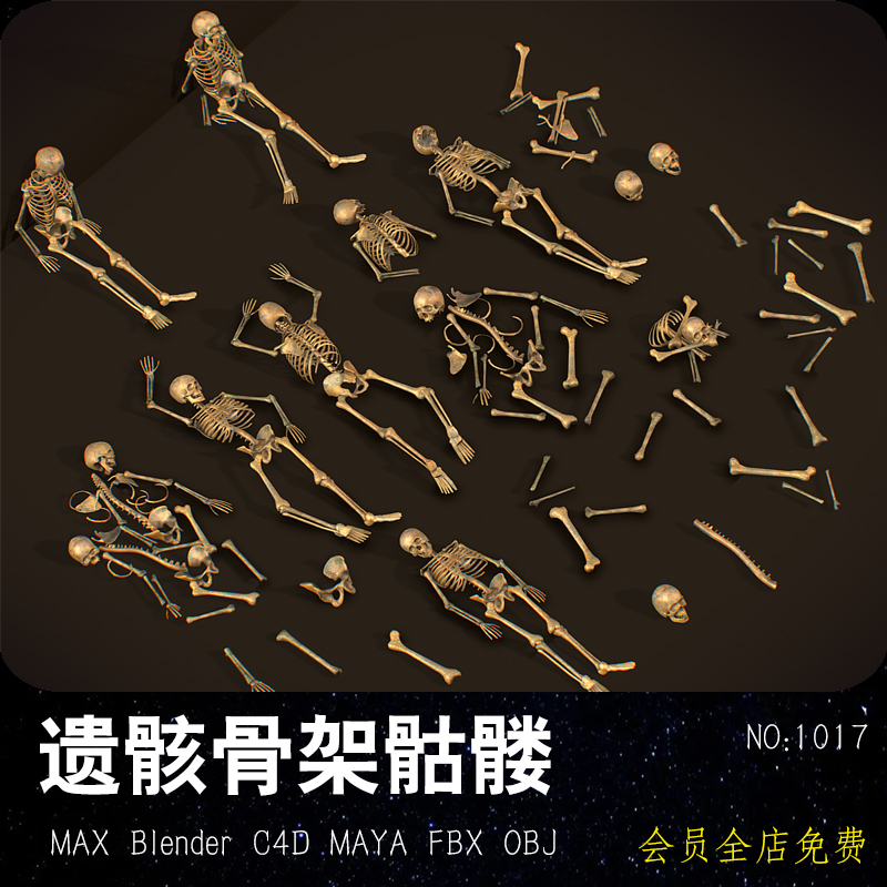 遗骸骨架骷髅MAYA模型FBX写实骨骼Blend万圣节C4D头骨躯干MAX素材