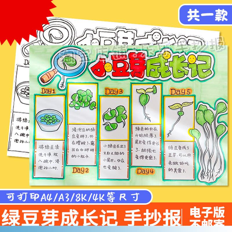绿豆芽生长记手抄报小学生绿豆芽观察日记成长记录自然笔记线稿a4