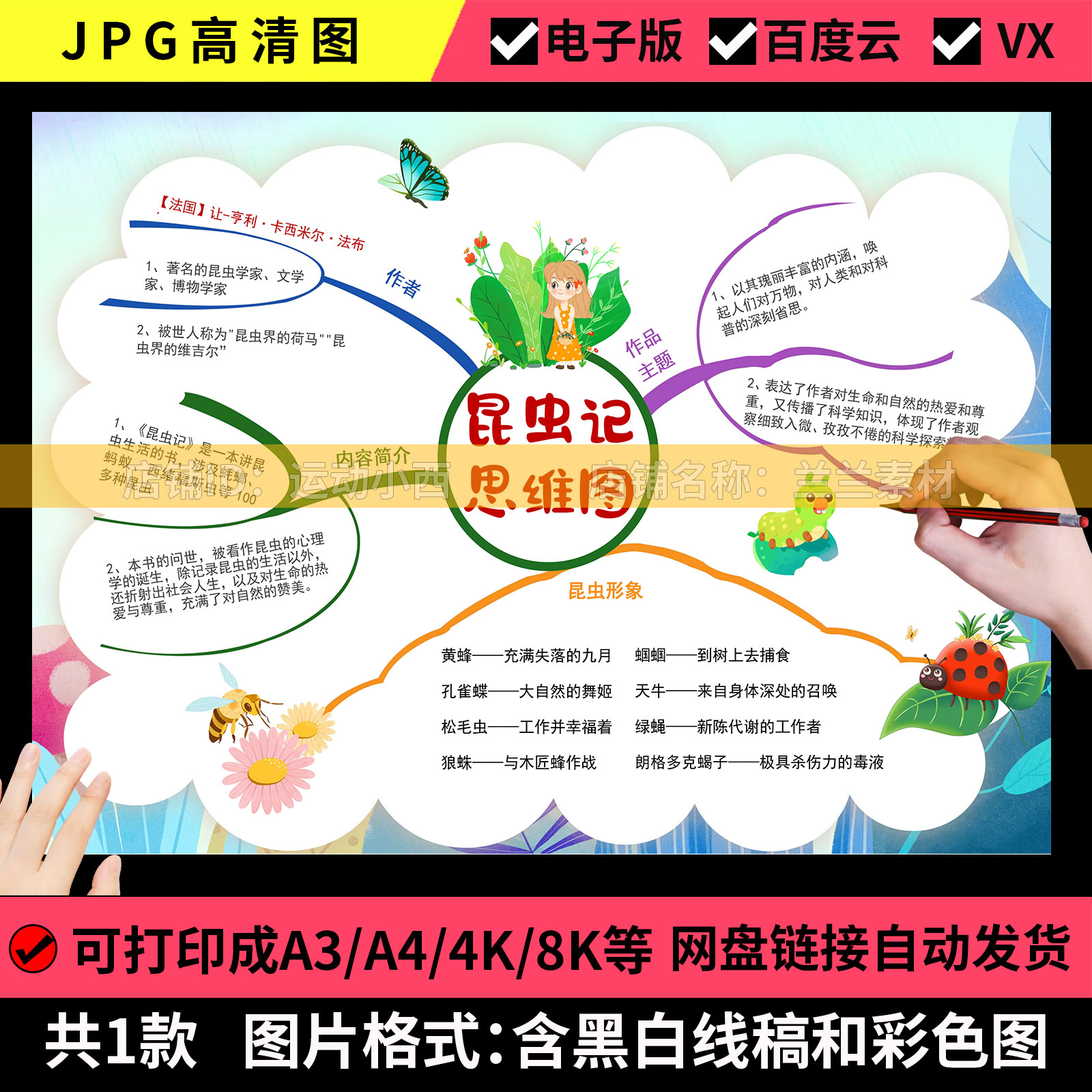 法布尔昆虫记阅读思维导图黑白线描涂色A4/A3/8K小学生手抄报模板