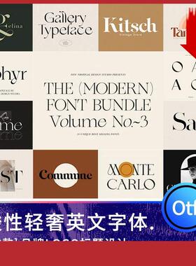 优雅酸性轻奢衬线艺术字体海报标题写真英文logo品牌设计winMAC