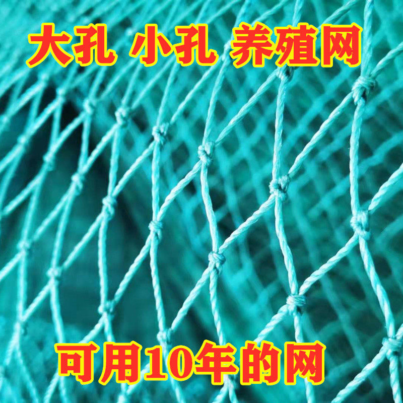 养殖网孔雀网养鸡网山鸡网爬藤网菜园网围栏网防护网鸽子网尼龙网