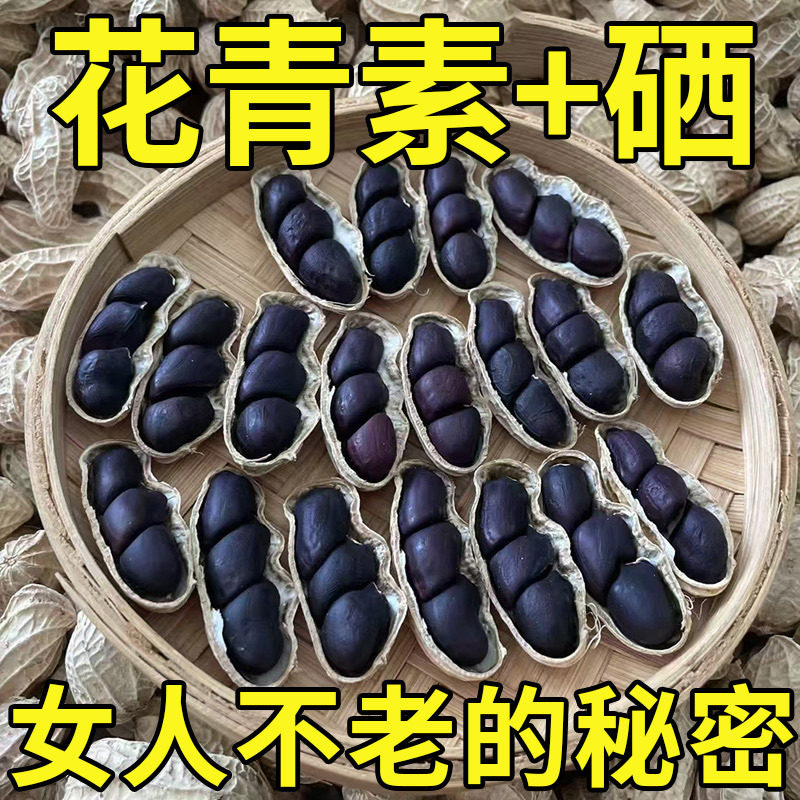 2025年新货富硒黑花生山东黑皮花生健康零食带壳生花生