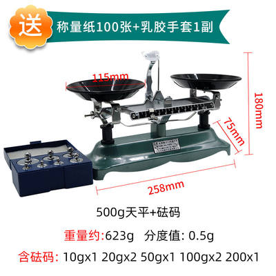 虹昇（HONGSHENG）托盘天平秤砝码机械天平秤初中物理实验教具学