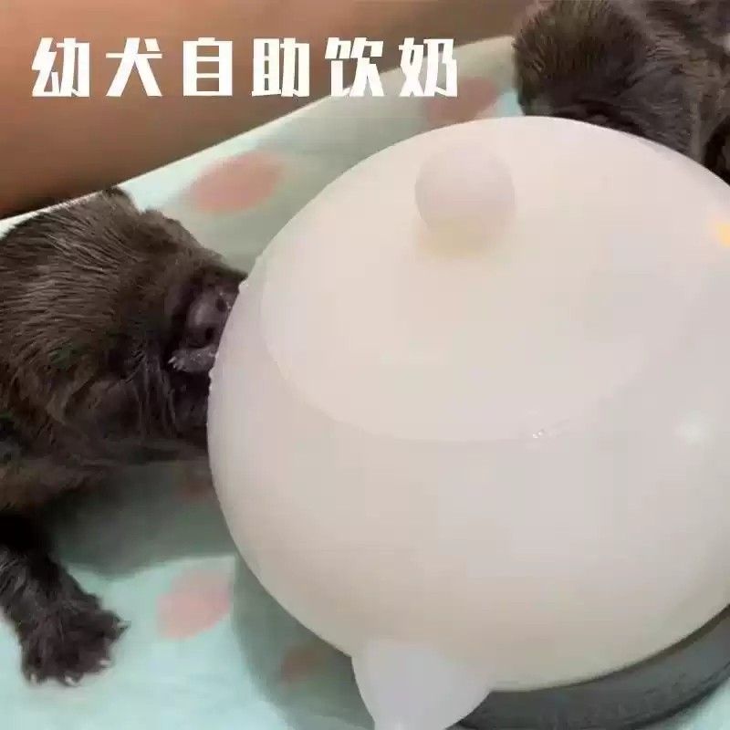 猫咪喂奶小猫奶猫仿生喂奶器幼猫奶瓶自助喝奶多猫气泡狗奶碗