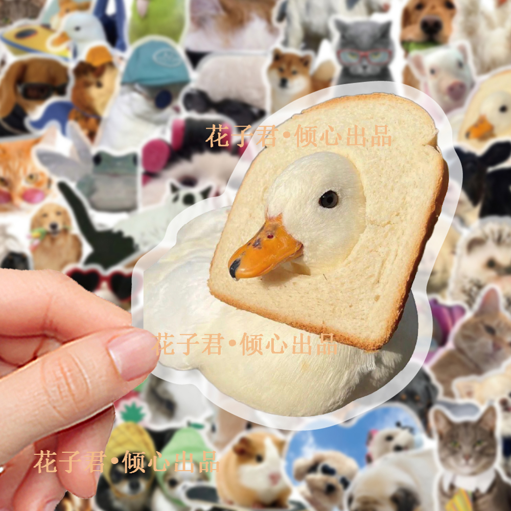50张写真动物pet贴纸可爱萌宠小动物图案装饰手账手机笔记本贴画