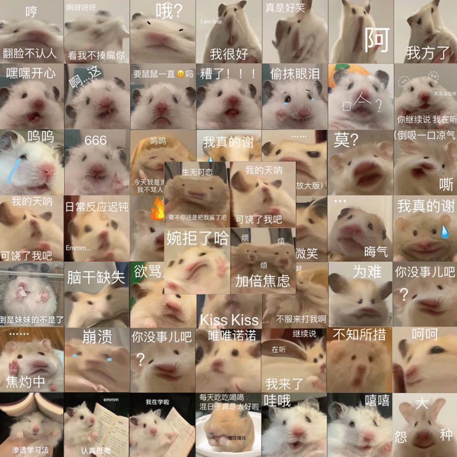 124张可爱仓鼠搞笑表情包贴纸卡通可爱趣味鼠鼠滑板桌面diy贴画