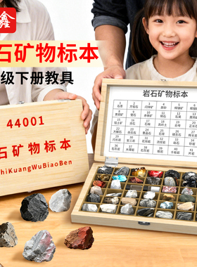 岩石矿物标本四年级科学下册实验器材套装 石头天然材料采集小学生科学教学仪器植物种子地理矿石自然教具