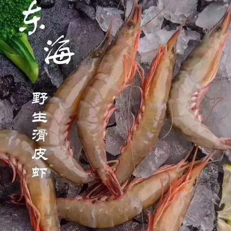吕四野生大号金钩虾 野生海虾 滑皮虾 硬壳虾300g一盒顺丰包邮