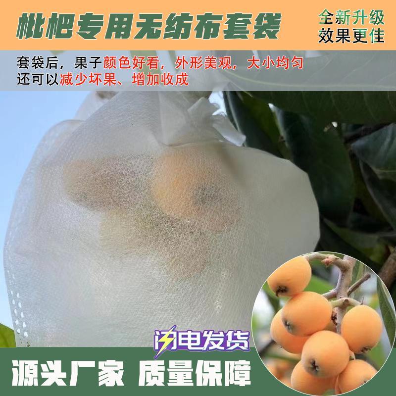 枇杷果专用袋防虫防鸟水果袋桃子水果套袋/果袋