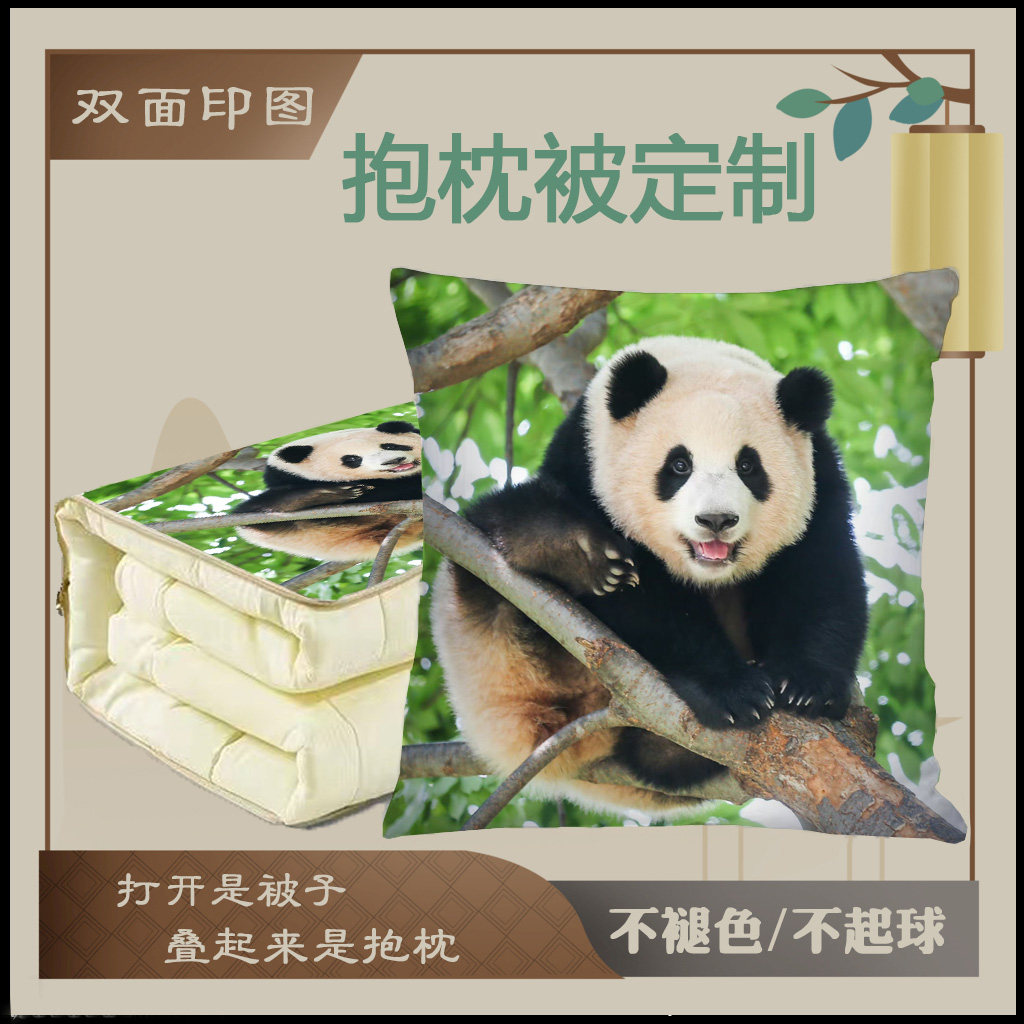 琛鸣抱枕被保暖二合一