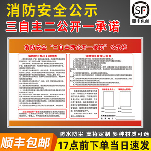 消防安全“三自主 两公开 一承诺”公示栏牌消防安全责任人职责管理人职责告知书承诺书宣传消防检查安检展板
