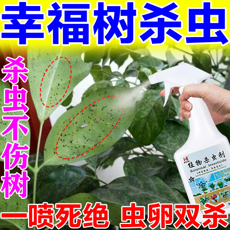 幸福树杀虫药介壳虫蚧壳虫蚜虫芽虫绿植杀虫剂花卉植物除虫专用药