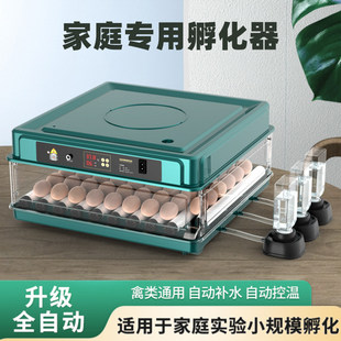 全自动孵化机小型家用智能孵化器智能芦丁鸡小鸡鸭鹅鹌鹑孵化箱