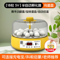 Incubator, Luting chicken chick incubator, small household intelligent incubator, water bed parrot fully automatic incubator thumbnail 5