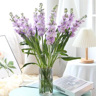 当季小清新带香味紫罗兰鲜花直发速递家用水养插花新鲜混搭花束