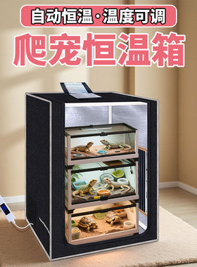 DTFISH蜥蜴守宫宠物乌龟恒温箱专用小鸡育雏保温爬宠爬虫饲养宠物