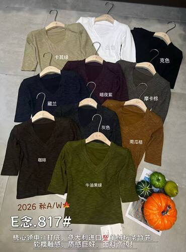 E念817早秋新款V领中袖T恤女坑条柔软面料修身显瘦带垫肩正肩上衣