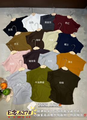 Ｅ念627半高领短袖打底衫女内搭秋薄款显瘦t恤修身气质高级感上衣