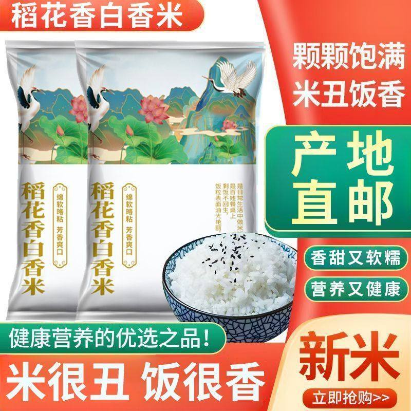 2025新米东北稻花腹白香米长粒5斤丑米东北大米正宗大米雪花批发,粮油调味/速食/干货/烘焙,大米,淘宝优惠券,粉丝福利购,淘宝优惠卷
