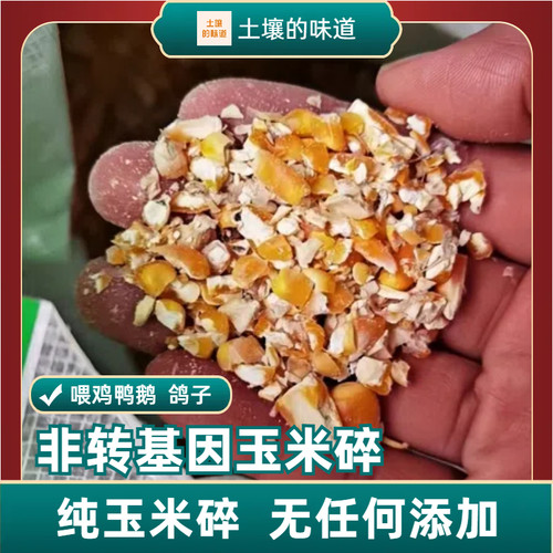 玉米碎鸡鸭鹅饲料玉米粒玉米糁玉米碎膨化棒玉米棒子玉米渣