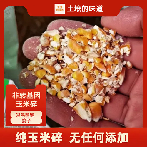 玉米碎鸡鸭鹅饲料玉米粒玉米糁玉米碎膨化棒玉米棒子玉米渣